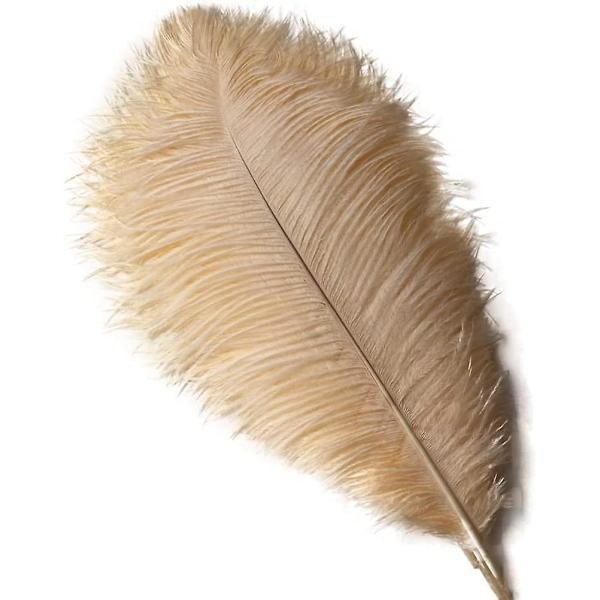 12-14 tommer (30-35 cm) Strudsefjer til bryllupsdekorationer, pakke med 10 (champagne)