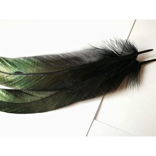 100 st 33-41 cm Långa Naturliga Tuppfjädrar för Hatt Kostym Dekoration Hantverk (svart)