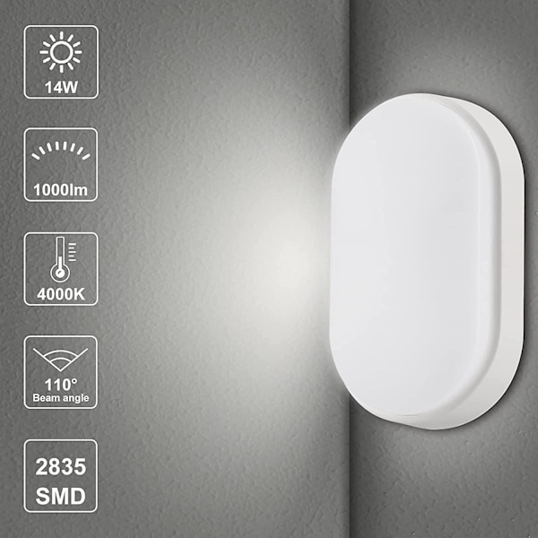 20w Led Bulkhead Væglampe Oval, vandtæt Ip66, 2000lm 6000k Kold Hvid