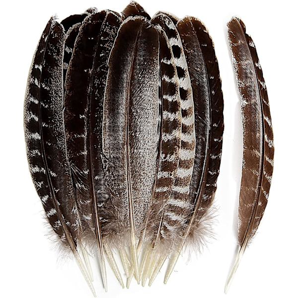 24 kpl Luonnonvaraisia kalkkunan siipisulkia, sulkakynä, irtotavarana 6-8 tuumaa 15-20 cm DIY-askarteluprojekteihin, kokoelmaan, hääkoristeluun, luonnonvaraisen kalkkunan pyrstösulka