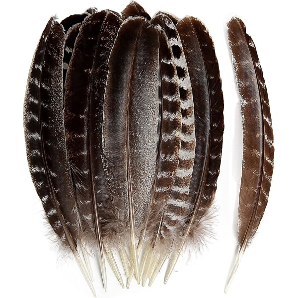 24 stk. Naturlige Ville Kalkunvingefjær Quill Bulk 15-20 cm for DIY Håndverksprosjekt Samling Bryllupsdekorasjon Ville Kalkunhalefjær
