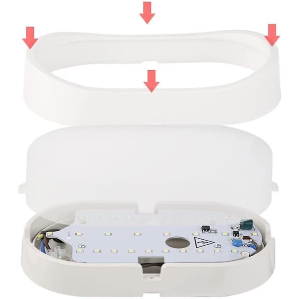 20w Led Bulkhead Væglampe Oval, vandtæt Ip66, 2000lm 6000k Kold Hvid