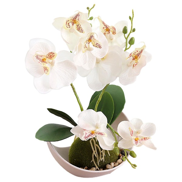 Treuddig Phalaenopsis Orkidé Måne Bonsai Konstgjord Blomster Dekoration Växt Krukväxt Grön Växt Heminredning white