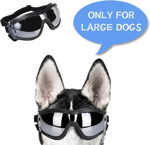 Solbriller til hunde, hundebriller, UV-beskyttelse, vindbeskyttelse, støvbeskyttelse