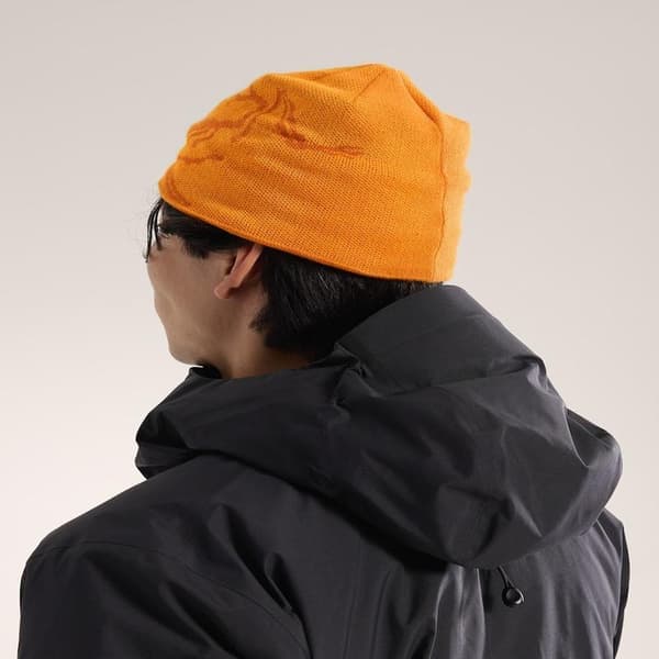 Arc'teryx Bird Head Toque Mössa Merinoull Stickad Vintermössa Unisex Orange