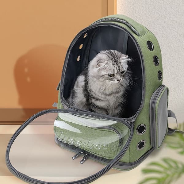 Udvidelig katte- og hunderygsæk til katte og små hunde