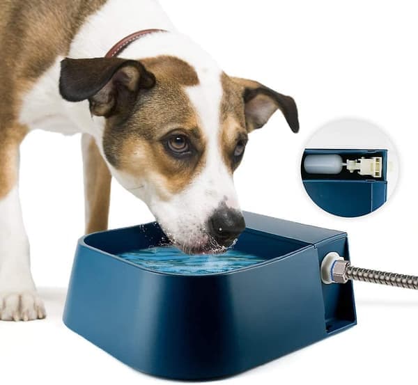 Flydende kæledyrsdrikker Automatisk hundedrikker Flydende drikker med flydeventil til hund