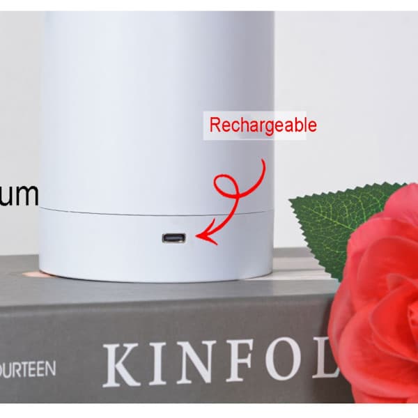 LED Rose Lampe Bordlampe pink