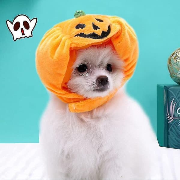 Halloween Hundekostume Græskarhat