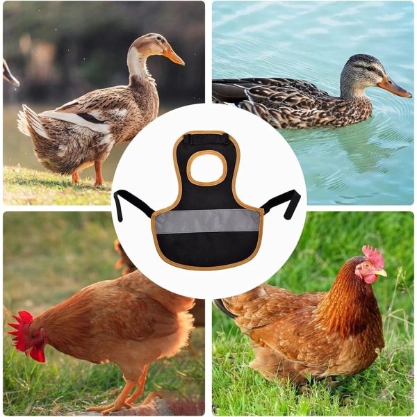 Justerbar fjäderfä reflekterande säkerhetsväst Pet Kyckling Andningsförkläde 1 Styck qd bäst