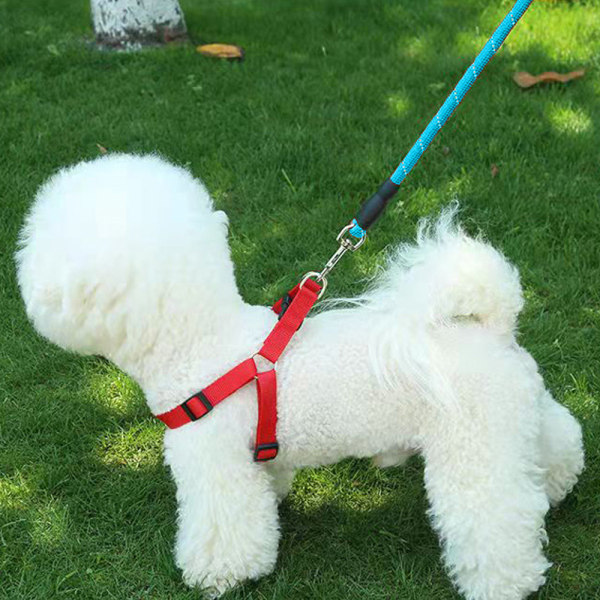 Reflekterande dragrep för sällskapsdjur-Pet levererar rep för hundpromenad qd bäst 1.5 meters