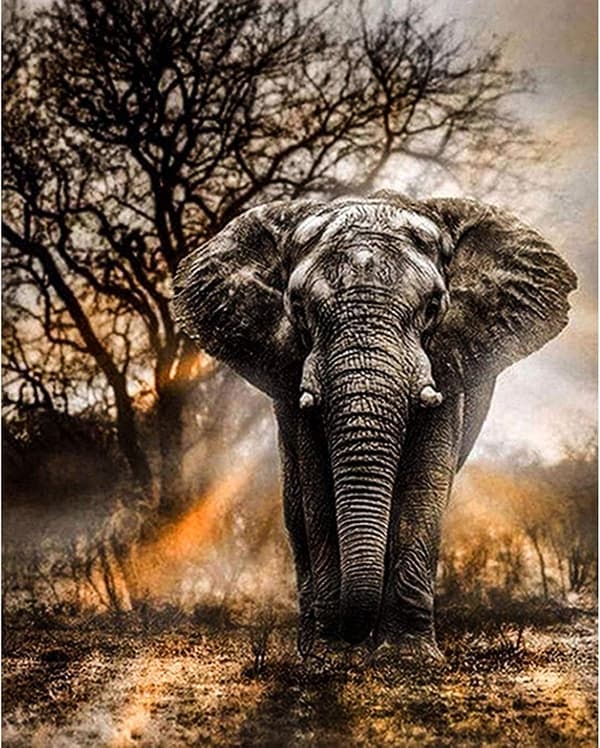 5D Full Drill Diamantmålningssatser, Elefant Kristall Strass