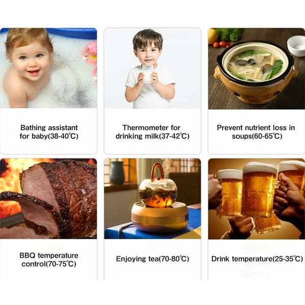 Digital kökstermometer med snabbavläsning för grillning, bakning - Röst