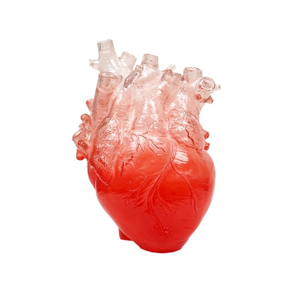 Ny Transparent Heart Hart Vas Anatomisk Hjärta Blom Vas Prydnad Hantverk Kruka För Kontor Vardagsrum Sovrum Skrivbord Red 7.5*9.5in