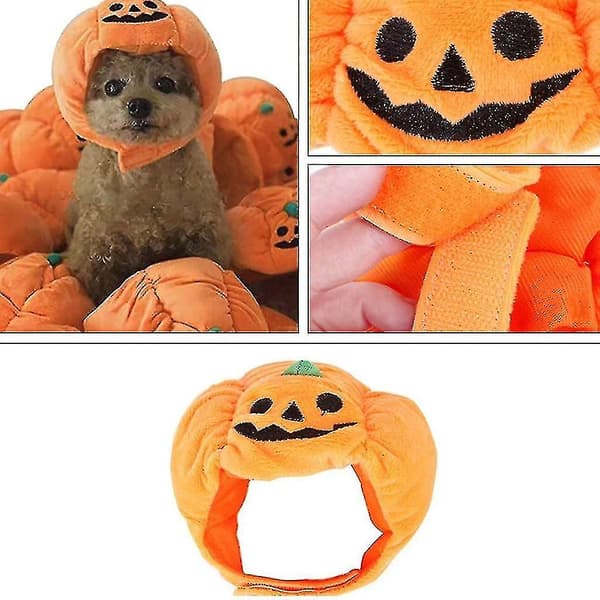 Halloween Hundekostume Græskarhat