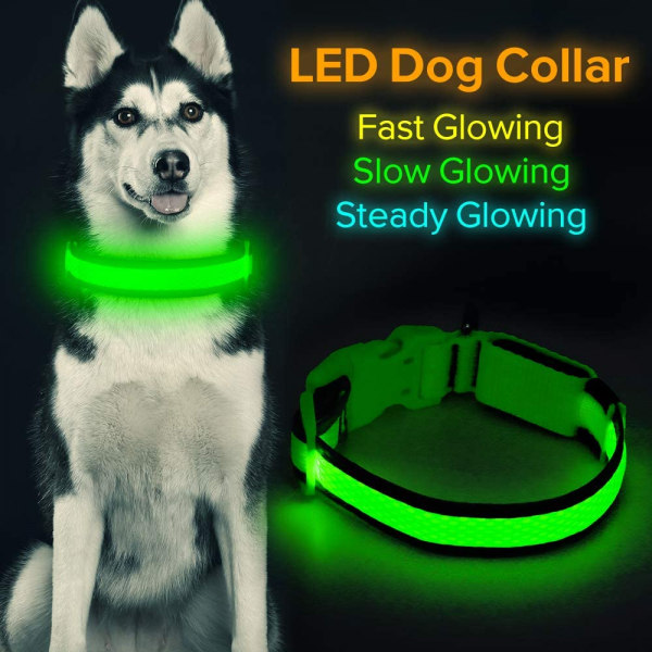 ED-hundhalsband, USB uppladdningsbara belysningslampor för hundhalsband, qd bäst Green L