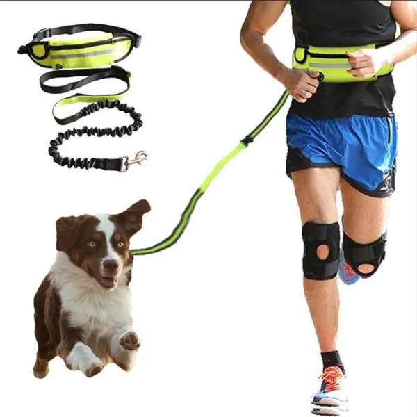 Reflekterande husdjurskoppel Elastisk hand Jogging hund dragrep löper midja Pack qd bäst 01-black
