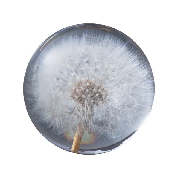 1/2/3/5 Utsökt blomma kristallkula present för alla tillfällen Dandelions 7cm 1Set