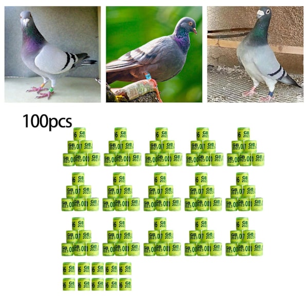 1/2/3/5 100st 8mm 2023 För duvring för de flesta vuxna fåglar Light Yellow UK 100 pcs 1 Pc