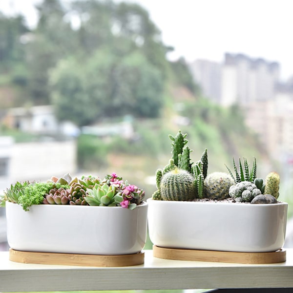 1/2 2 stycken Andningsbar keramikkruka för suckulenta växter present till Planter Pot only 1 Pc