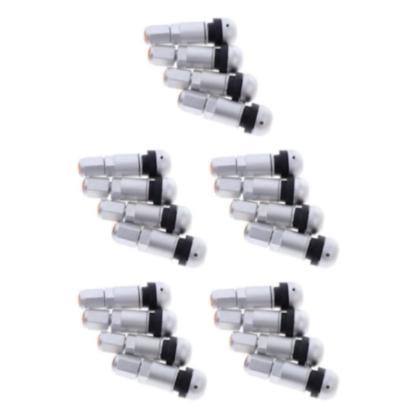 1/2/3/5 4 st Bil Slanglösa Hjul Dammlock Däckventilstammar Moonlight silver + Black 5Set