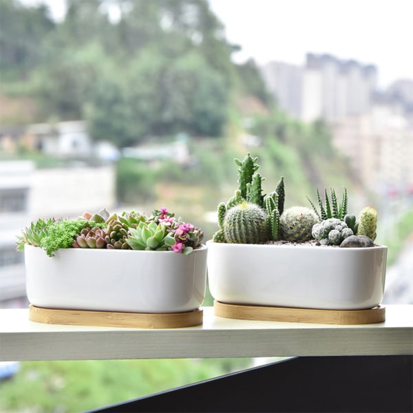 1/2 2 stycken Andningsbar keramikkruka för suckulenta växter present till Special support tray 1 Pc