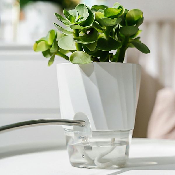 Vita vita blomkrukor med självbevattningsfunktion inomhusväxter White transparent ba king-size