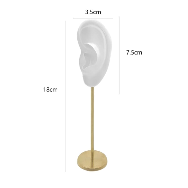 1/2/3 Örhänge Display Stand Human Ear Model Stud Holder Showcase Left Translucent Height: 18cm 1Set