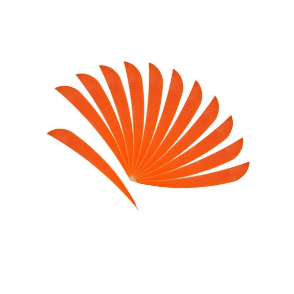 1/2/3/5 12 stycken För Bågskytte Jaktfjäder Fletching Right Orange 2Set