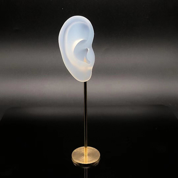 1/2/3 Örhänge Display Stand Human Ear Model Stud Holder Showcase Right Translucent Height: 18cm 1Set