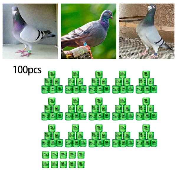 1/2/3/5 100st 8mm 2023 För duvring för de flesta vuxna fåglar Grass Green Netherlands 100 pcs 1 Pc