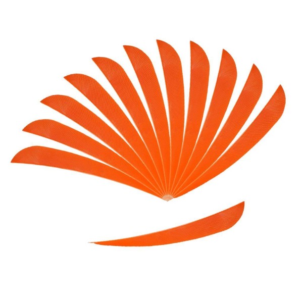 1/2/3/5 12 stycken För Bågskytte Jaktfjäder Fletching Right Orange 1Set