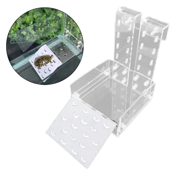 1/2 Tortoise Ramp Climbing Eremit För Crab Turtle Basking Clear 10x17cm 1Set