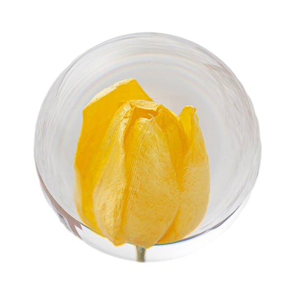 1/2/3/5 Utsökt blomma kristallkula present för alla tillfällen Tulips 8cm 5Set