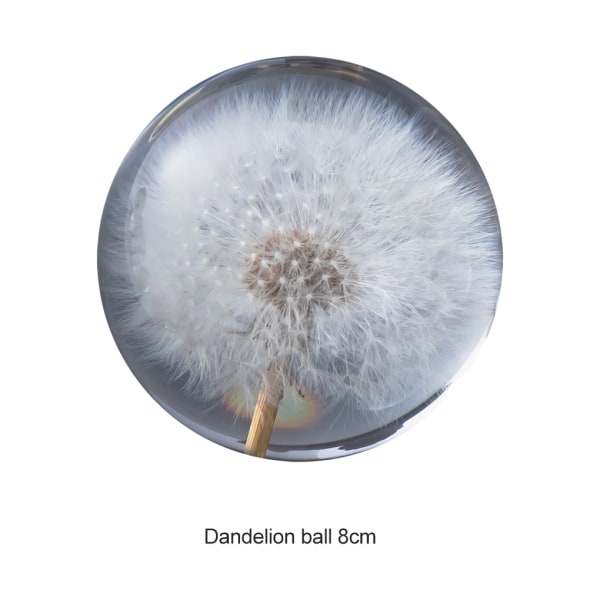 1/2/3/5 Utsökt blomma kristallkula present för alla tillfällen Dandelions 8cm 1Set