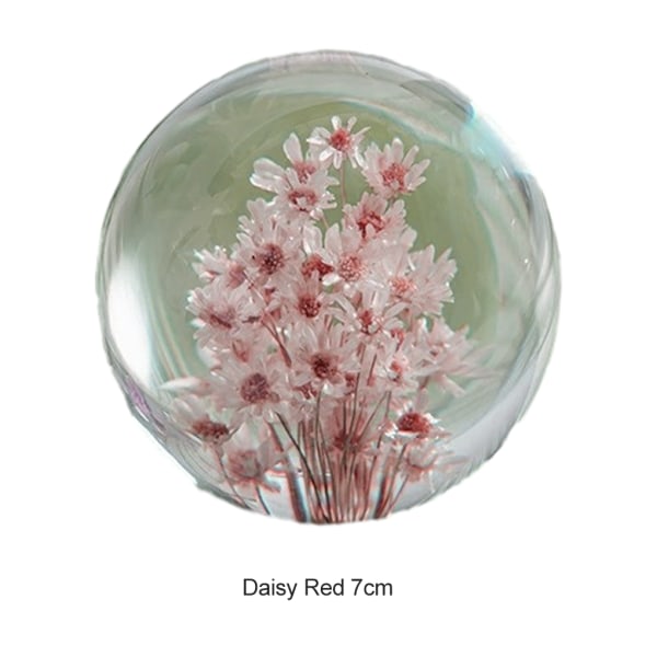 1/2/3/5 Utsökt blomma kristallkula present för alla tillfällen Daisy red 7cm 1Set