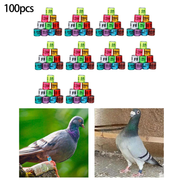 1/2/3/5 100st 8mm 2023 För duvring för de flesta vuxna fåglar Multinational mixed 100 pcs 1 Pc