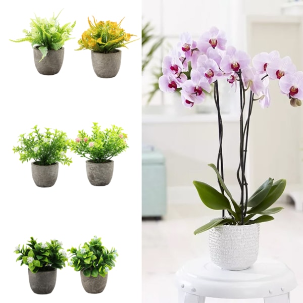 1/2/3 Plast Realistic Artificiell Suckulent Lågt underhåll purple babysbreath 1Set