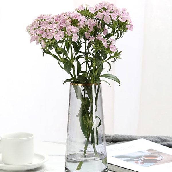 Vas för blommor - bred användning Lätt att rengöra och torka Transparent gold1325