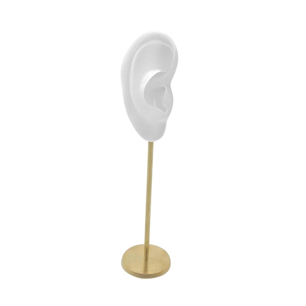 1/2/3 Örhänge Display Stand Human Ear Model Stud Holder Showcase Right Translucent Height: 18cm 1Set