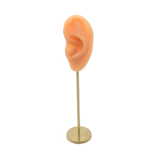 1/2/3 Örhänge Display Stand Human Ear Model Stud Holder Showcase Left Normal Skin Height: 18cm 1Set