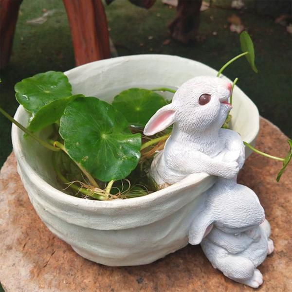 1/2 Resin Snygg kanin Blomkruka Trädgårdar Skönhet inomhus och Rabbit pulling  ears 1 Pc