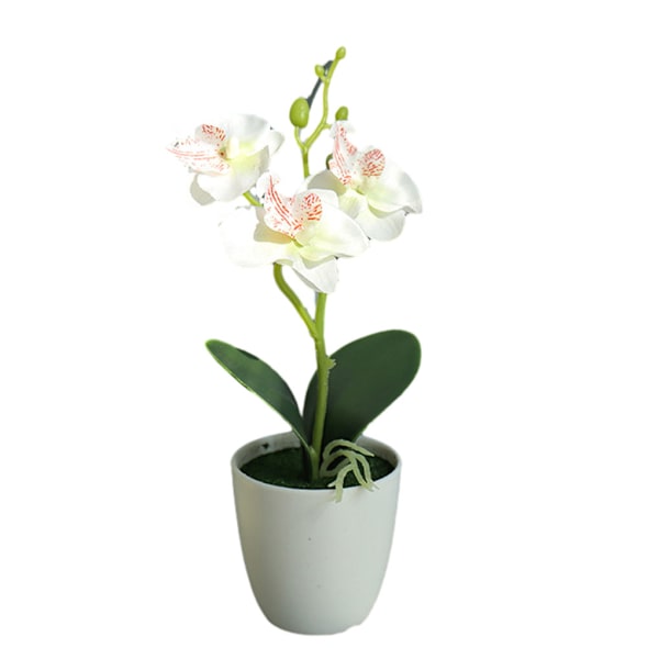 1/2/3/5 Realistiskt utseende Hållbar konstgjord blomma för DIY White 1 Pc