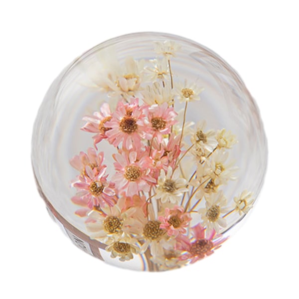 1/2/3/5 Utsökt blomma kristallkula present för alla tillfällen Daisy red white 7cm 1Set