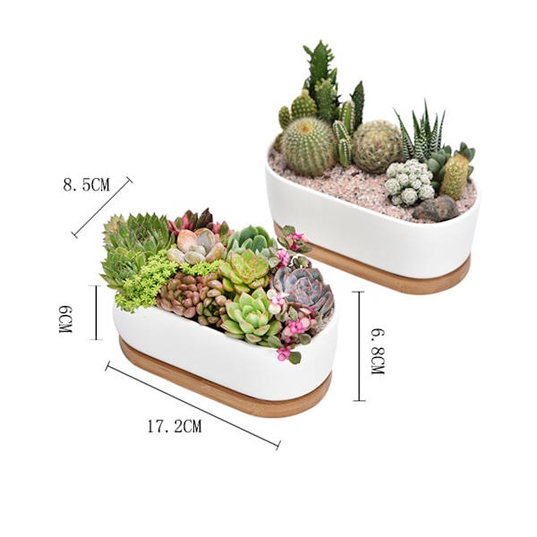 1/2 2 stycken Andningsbar keramikkruka för suckulenta växter present till Planter Pot only 1 Pc