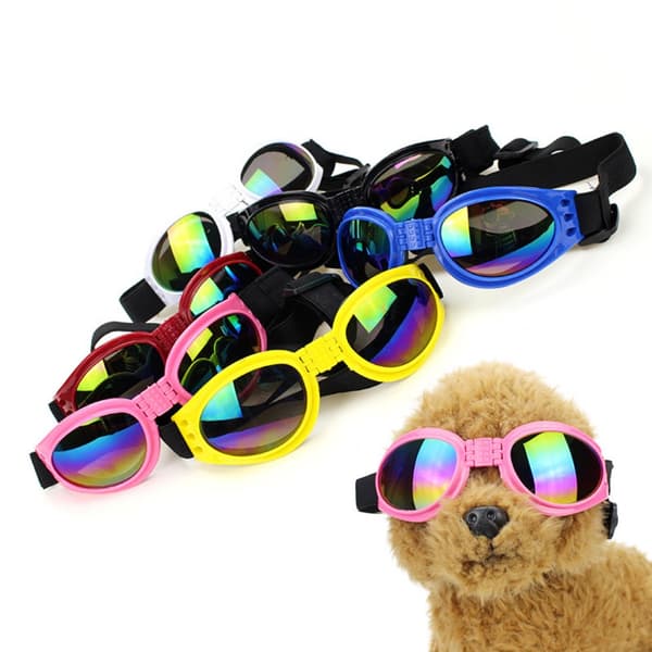 Vikbara hundsolglasögon med UV-skydd Yellow