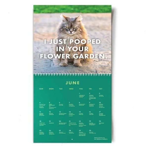 2024 Argsinte Katter Kalender Väggkalender Hängande Kalender Julklapp