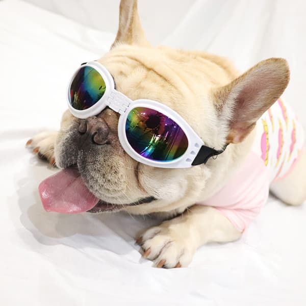 Vikbara hundsolglasögon med UV-skydd Pink
