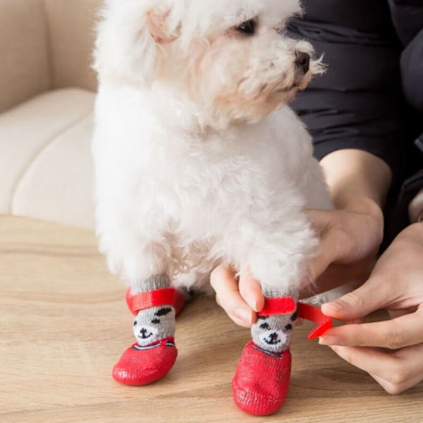 4-pack Höst & Vinter Hundskor & Strumpor Halksäkra Katt Regn Snö Stövlar Strumpor red M