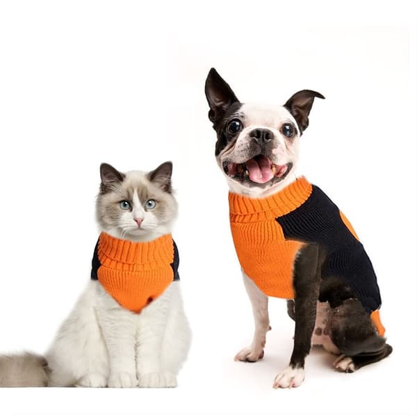 Halloween Husdjurskläder Pumpa Hundtröja M